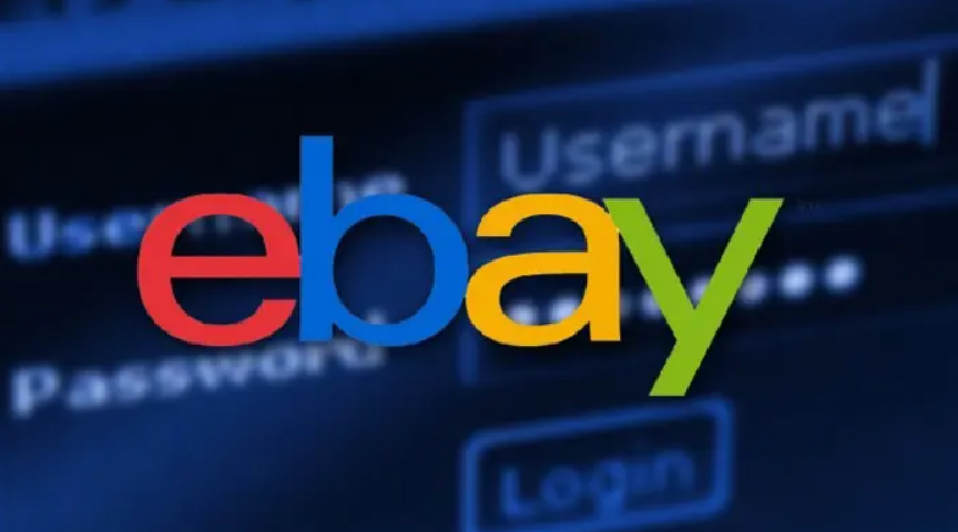 国内怎么在eBay上买东西，eBay海淘攻略小白必看