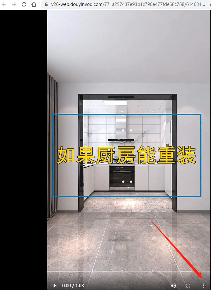 抖音网页版怎么下载视频，抖音网页版入口网址