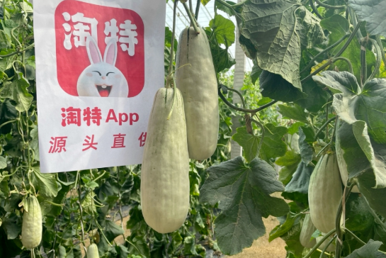 淘特和淘宝有什么区别,淘特上的东西是真的吗