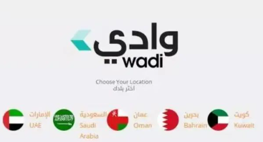 中东跨境电商平台排名,盘点中东跨境电商平台