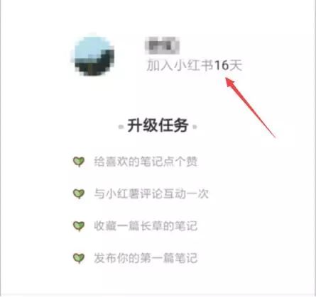 小红书如何运营，小红书运营技巧及实操