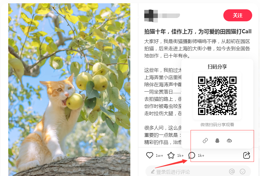 小红书图片怎么保存无水印，图片去水印方法