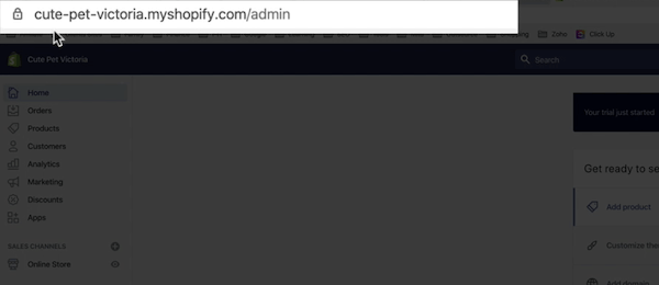 Shopify怎么开店?Shopify开店详细流程，附图文